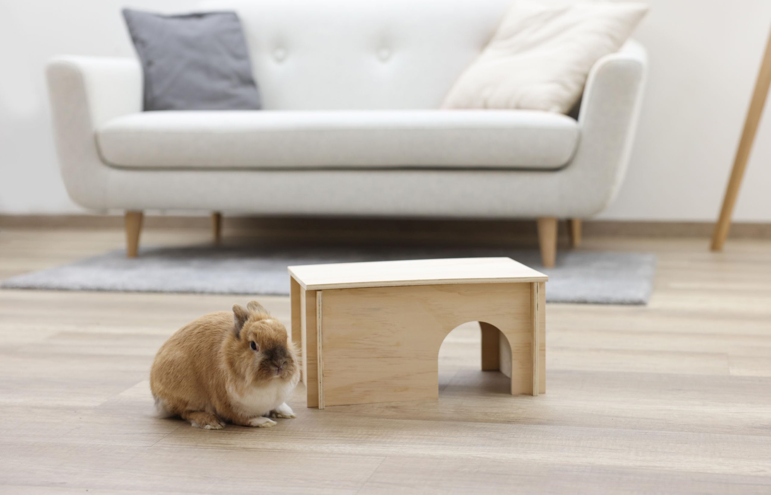 kerbl-pet-nagerhaus-natural-38x23x19cm-holz image 3