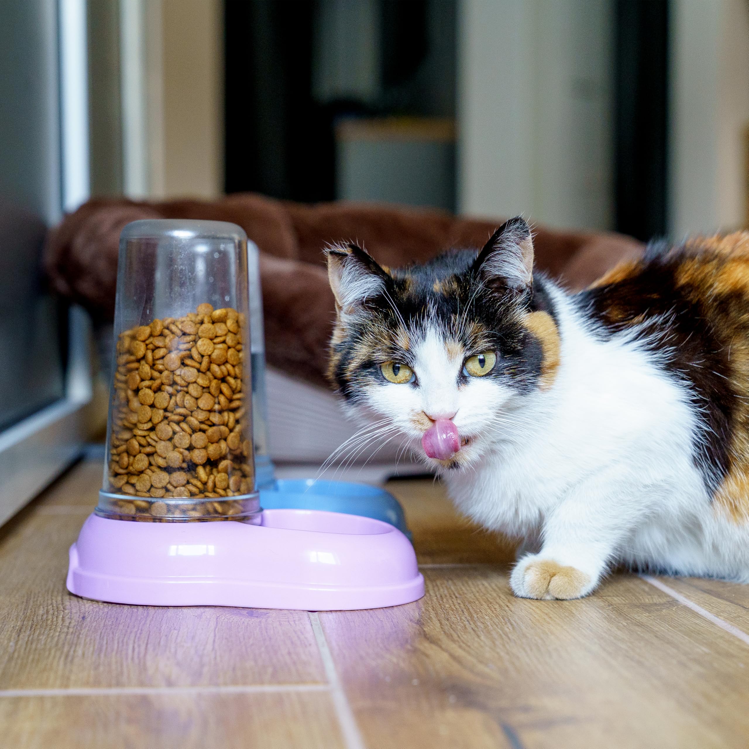 ferplast-azimut-600-futter-und-wasserspender-0-6-liter-f-r-hund-katze-kaninchen- image 8