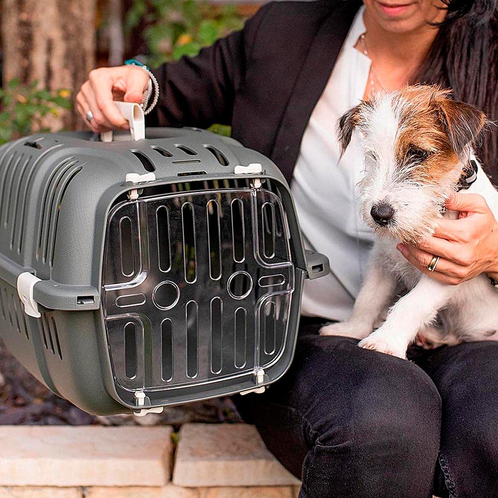 ferplast-jet-10-transportbox-f-r-katze-und-kleinen-hund-grau-32-x-47-x-h-29-cm-b image 3