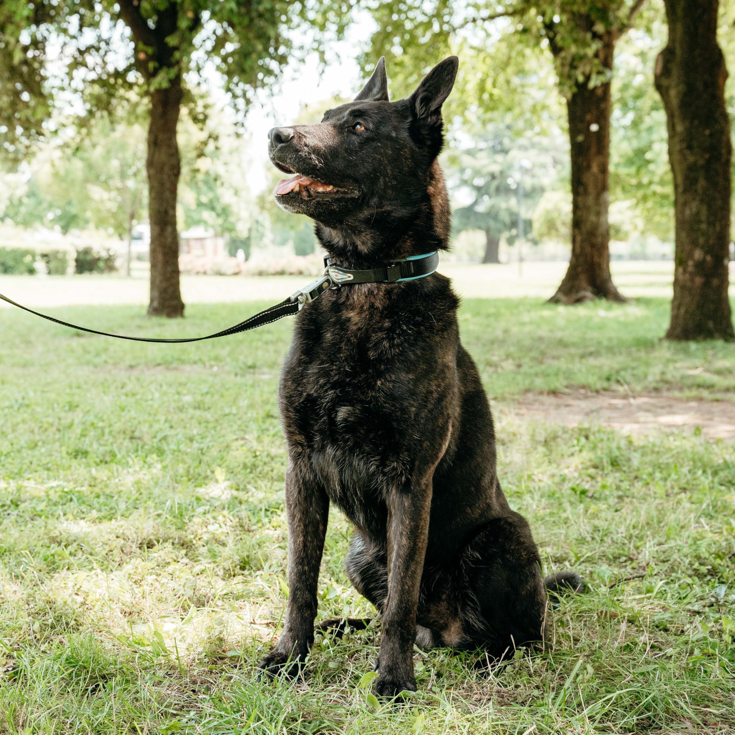 ferplast-ergofluo-c25-51-hundehalsband-ergonomisch-mit-polsterung image 2