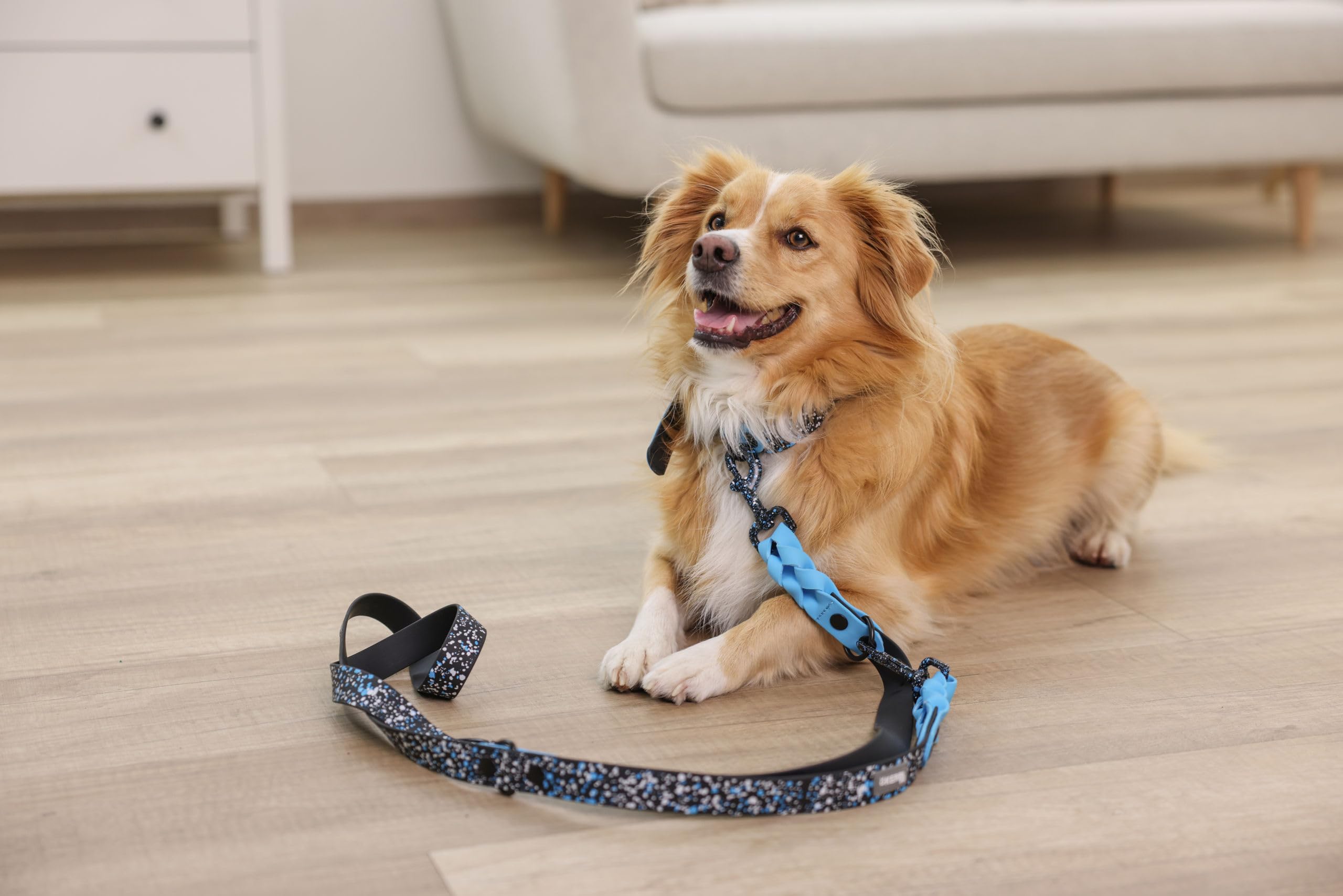 kerbl-lima-f-hrleine-f-r-hunde-blau-schwarz-25-mm-x-200-cm image 5