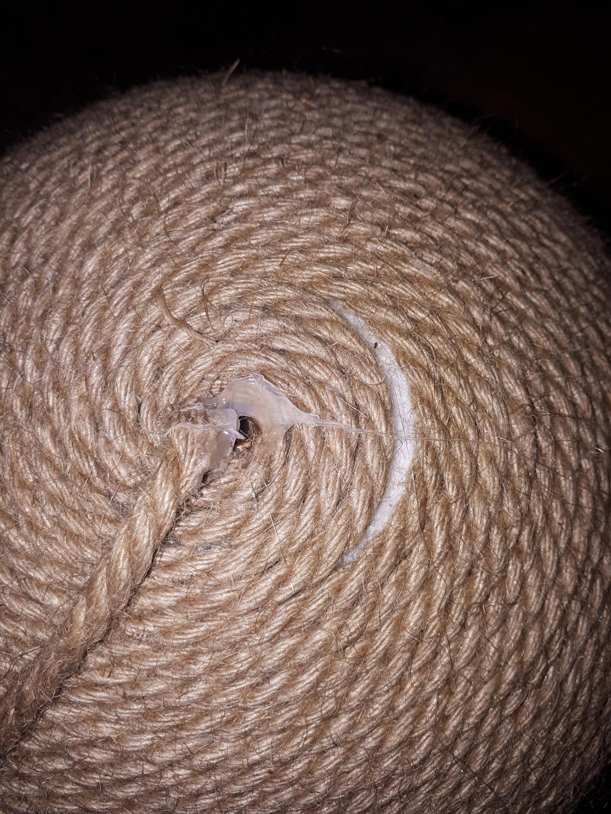 Kugel ist der Renner