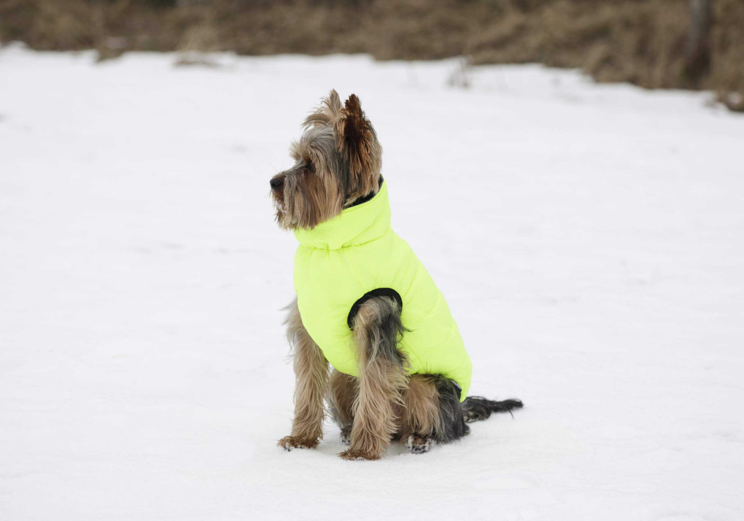 kerbl-pet-steppmantel-charmonix-xs-30-cm-grau-neon-gelb-wendbarer-hundemantel image 3
