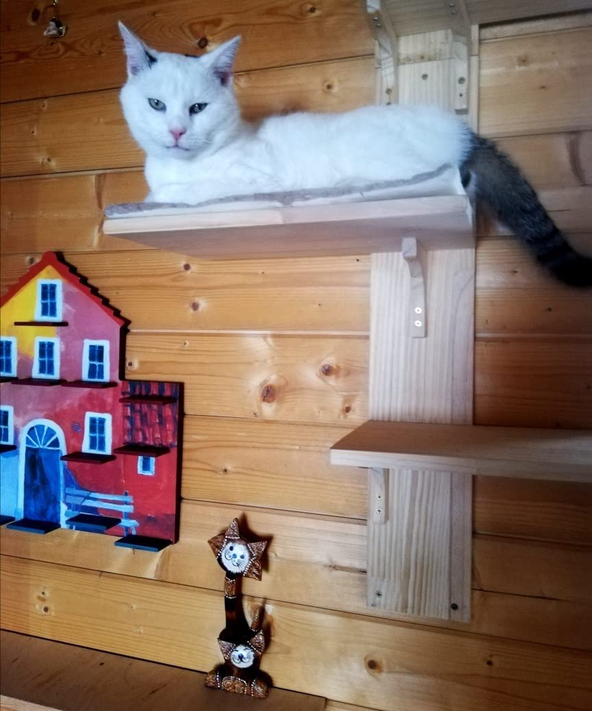 Unsere Mia liebt es