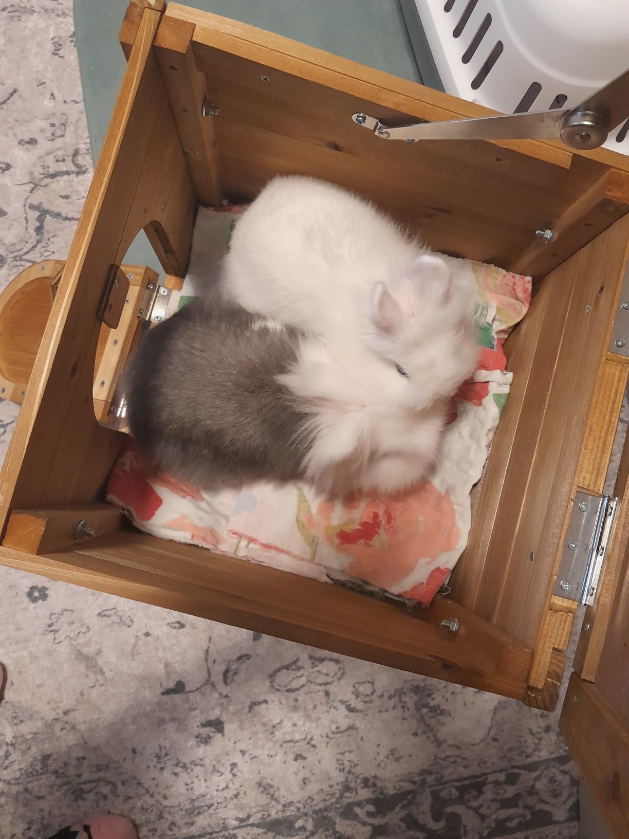Perfektes Häuschen für unsere Meerschweinchen