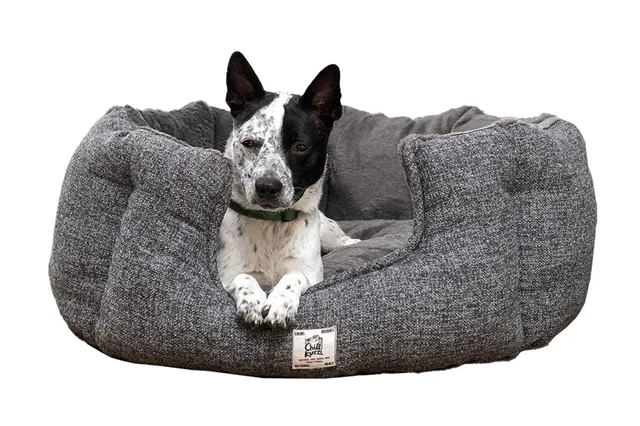 beeztees-nano-chill-kuzzi-hundebett-h-hlenbett-grau-58x58x30-cm image 1