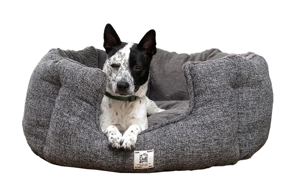 beeztees-nano-chill-kuzzi-hundebett-h-hlenbett-grau-58x58x30-cm image 1