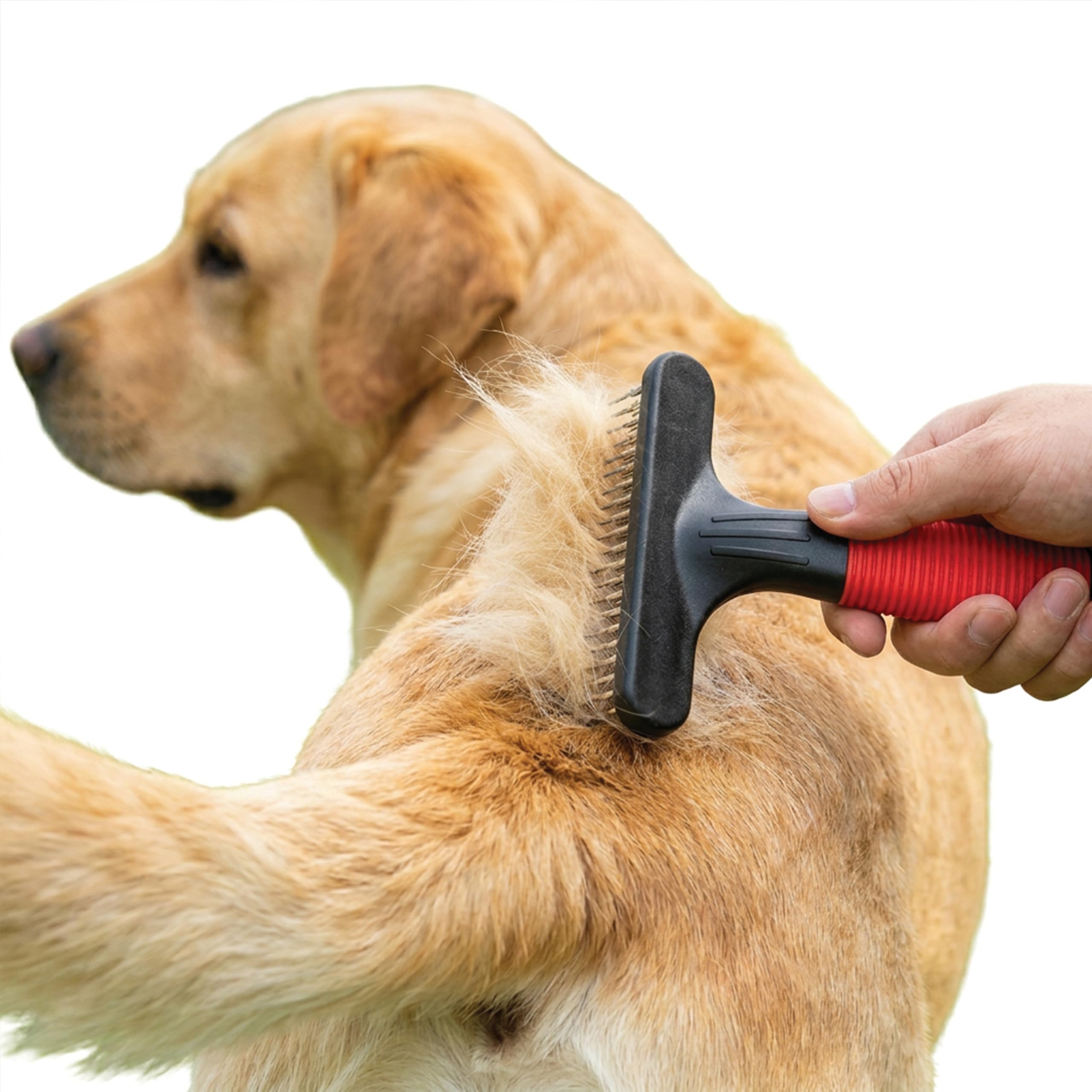 ferplast-gro-5874-rechenkamm-f-r-hunde-und-katzen-mittel-und-langhaar image 7