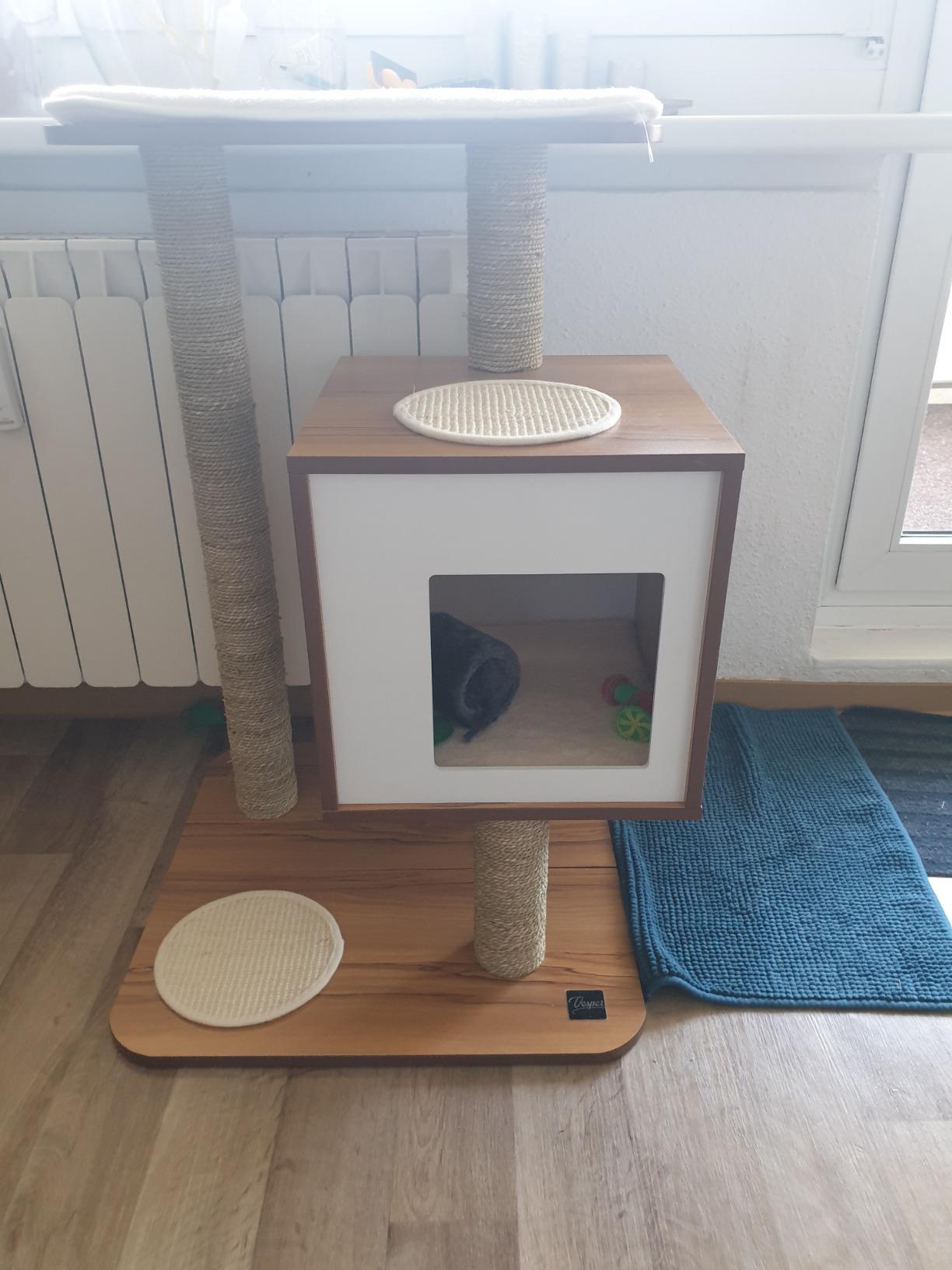 Toll für ruhige Katzen