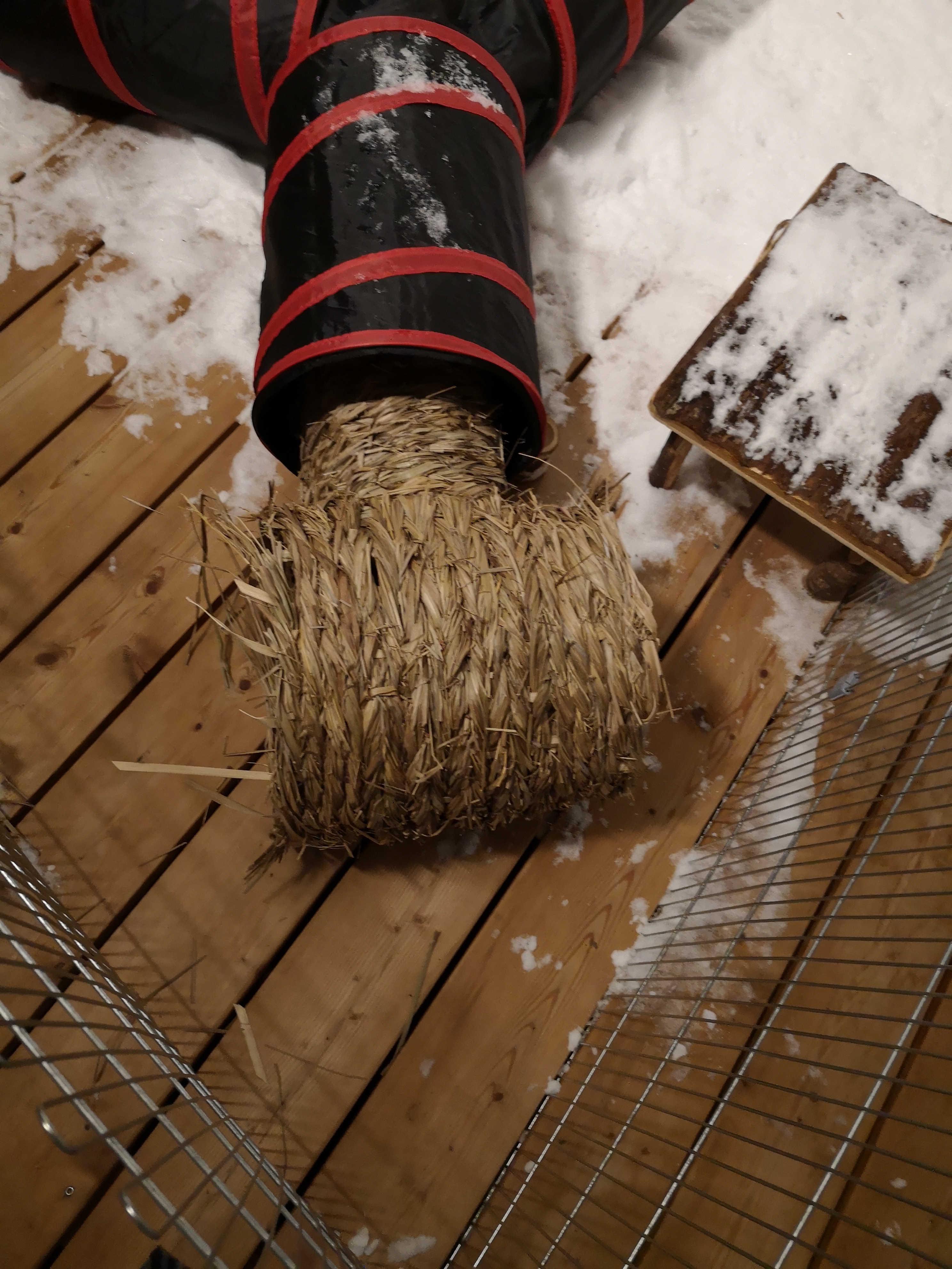 Tolles Naturversteck für Nager mit zwei Größen und guter Akzeptanz bei scheuen Tieren