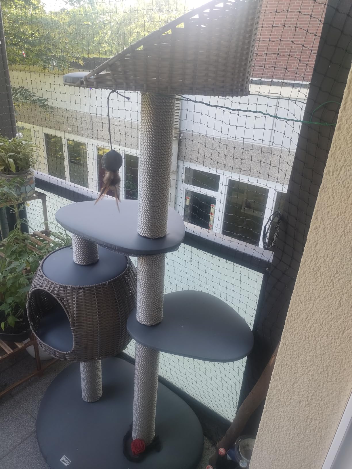 Schön, aber schwer aufzubauen