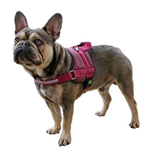 kerbl-pet-geschirr-maestro-2-0-burgundy-15-mm-x-45-60-cm-mit-adresstube image 7