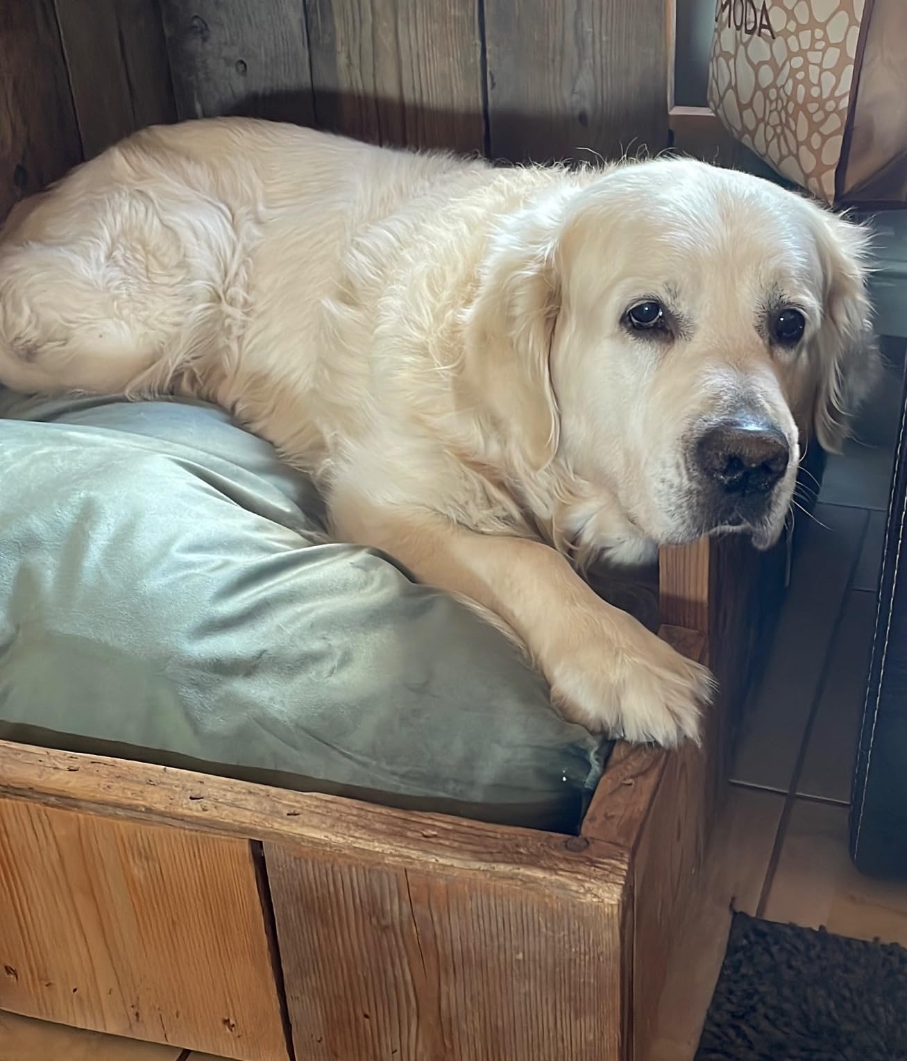 Hund liebt es, ich auch