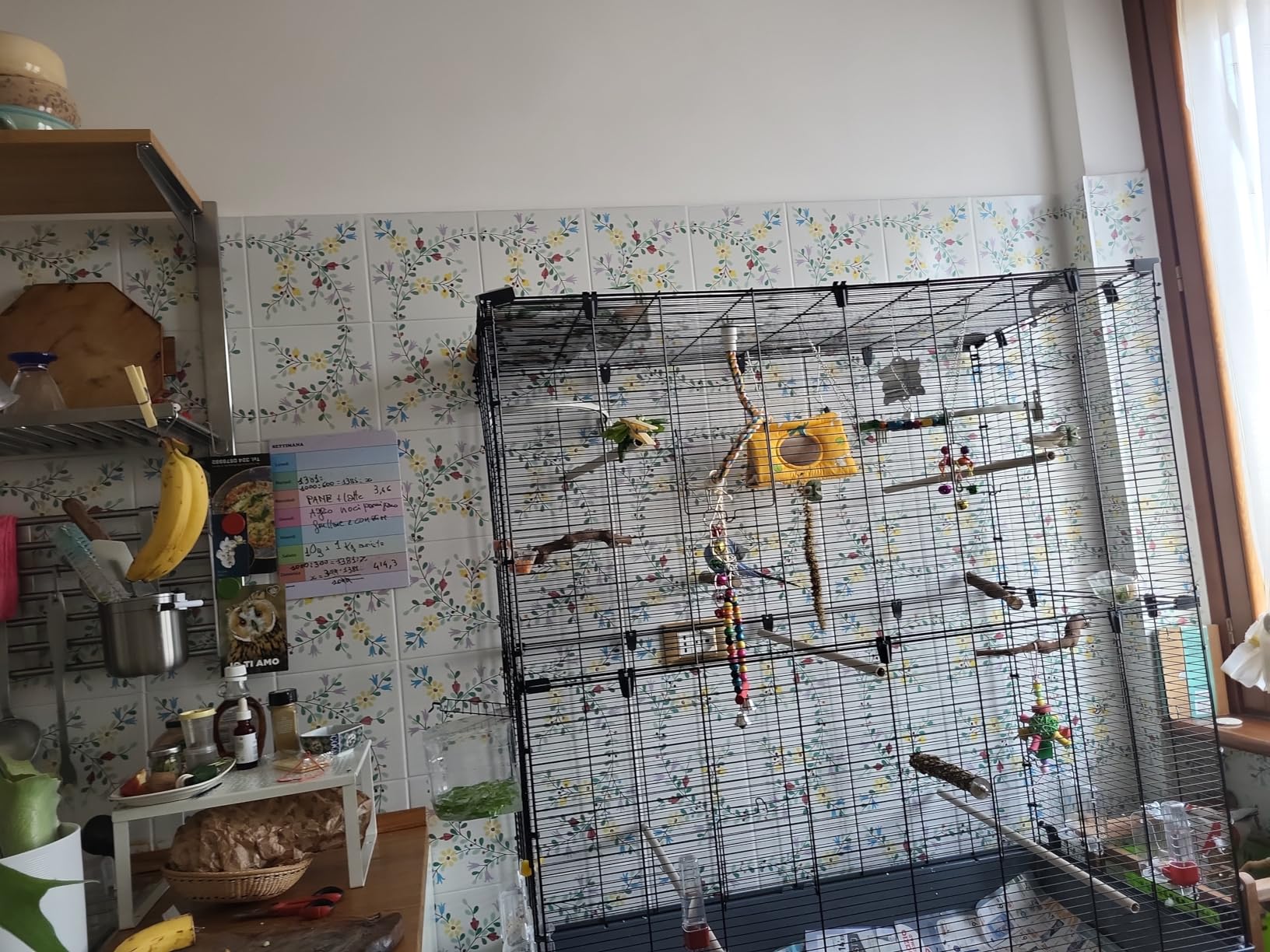 Endlich genug Platz für unsere Wellis