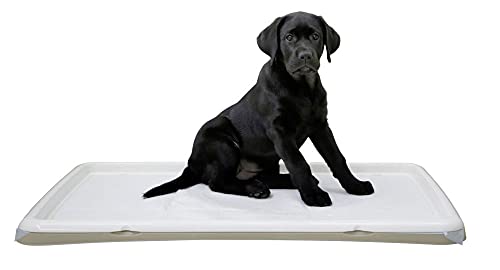 kerbl-pet-welpentoilette-xl-creme-90-x-60-x-4-cm-aus-kunststoff image 3
