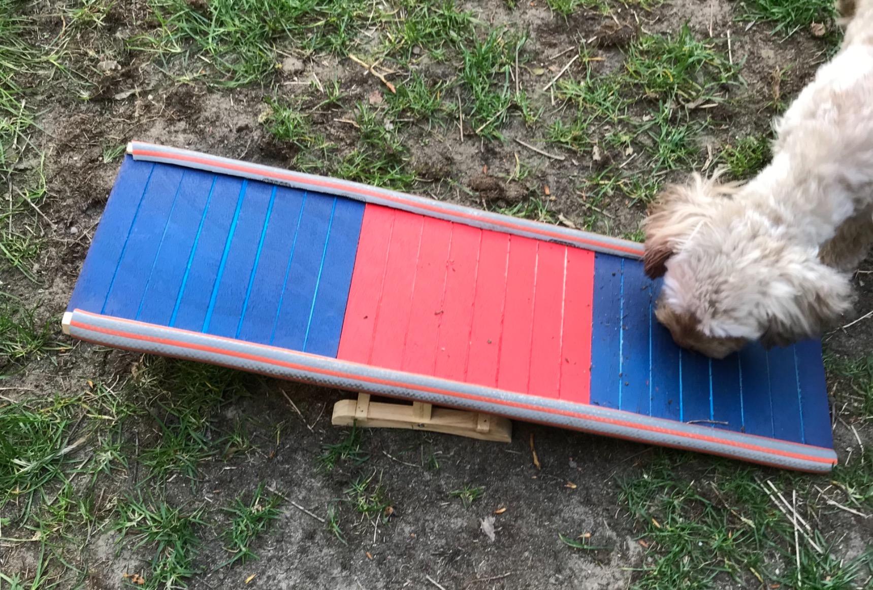 Ideale Größe für kleine Hunde