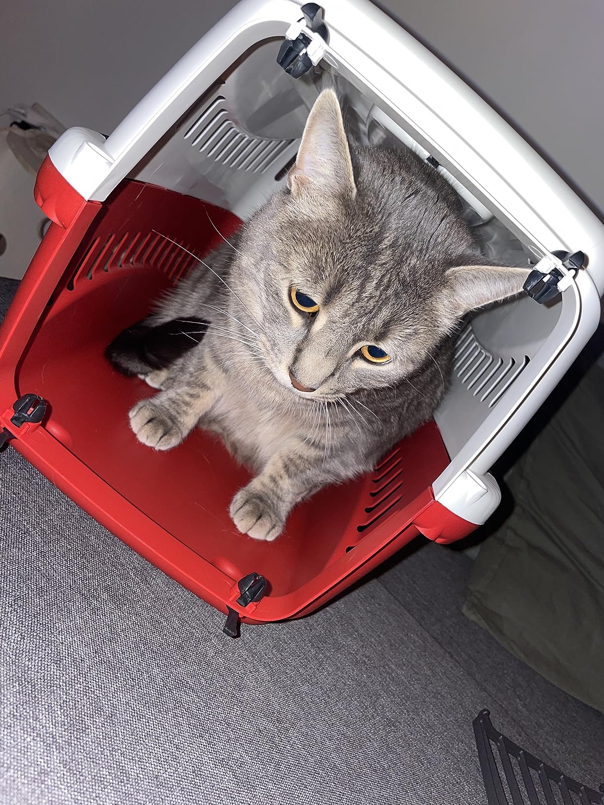 Für den Tierarzt