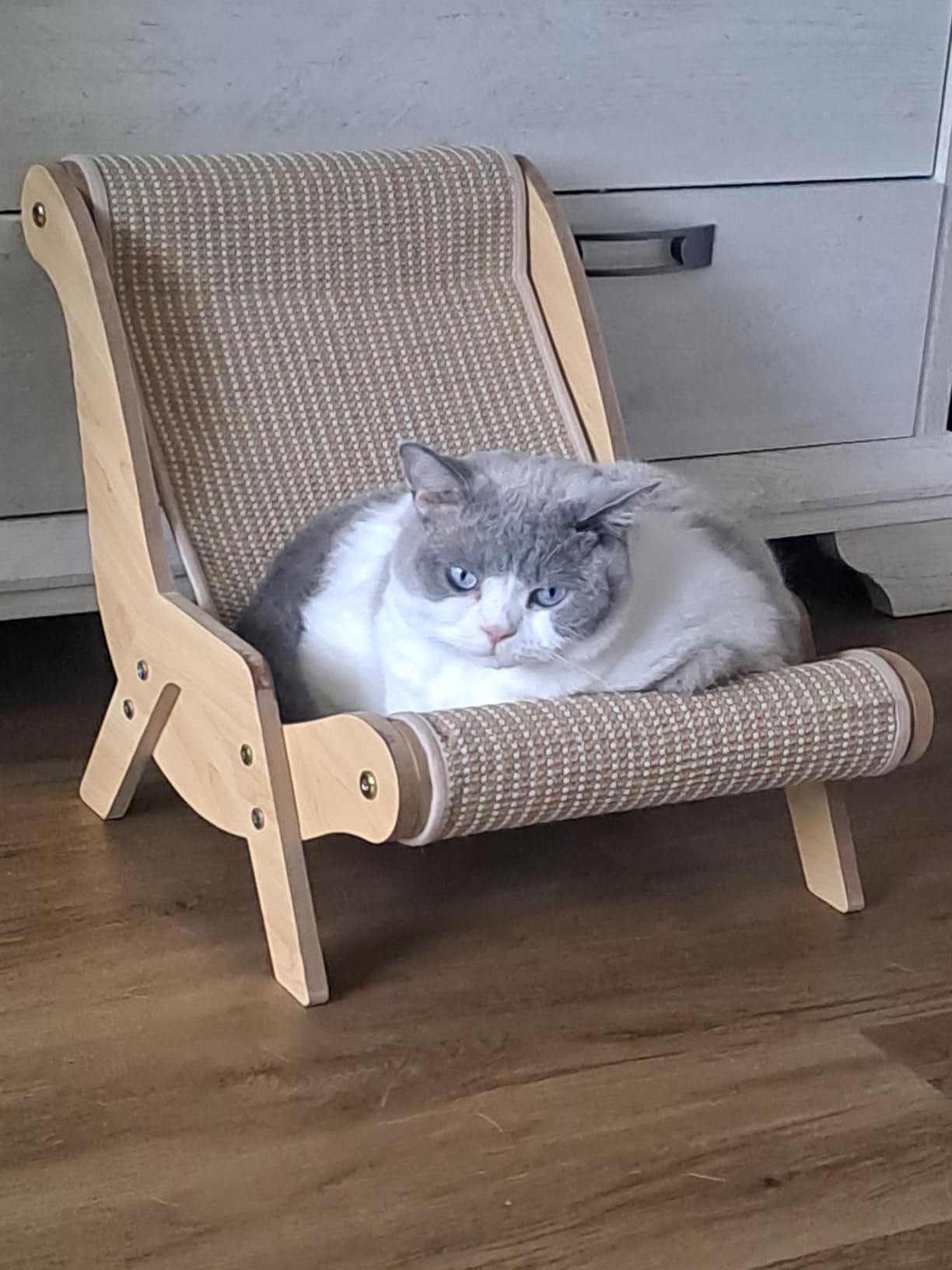 Unsere Katze liebt ihn total.