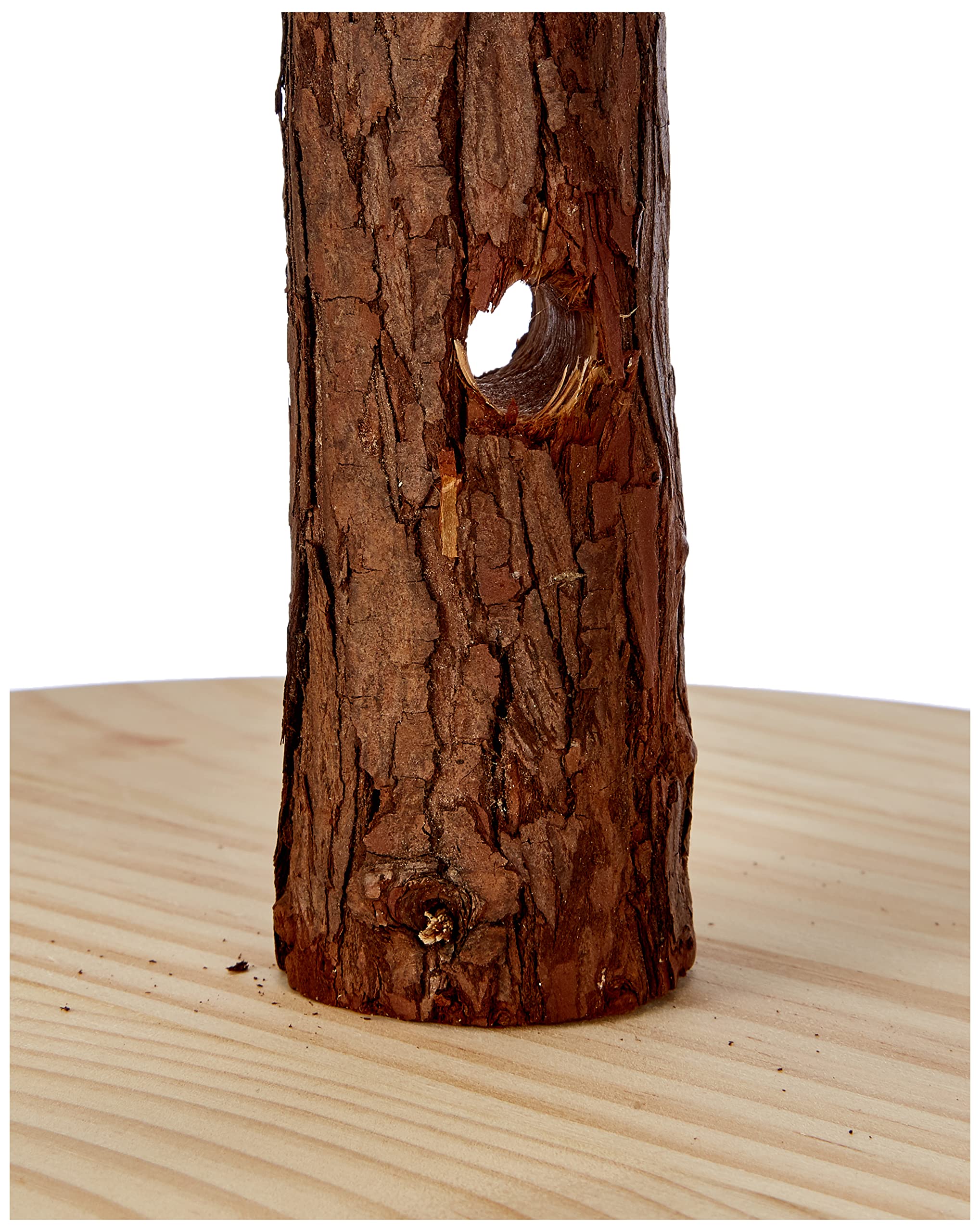 kerbl-pet-futterbaum-f-r-nager-h-he-30-cm-aus-unbehandeltem-holz image 4