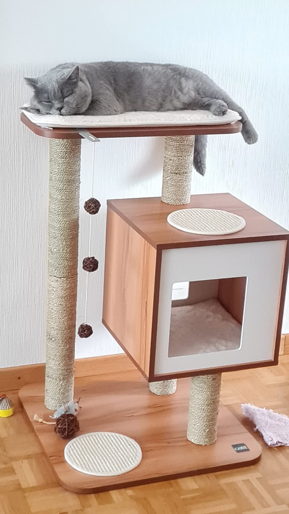 Absolute Bereicherung
