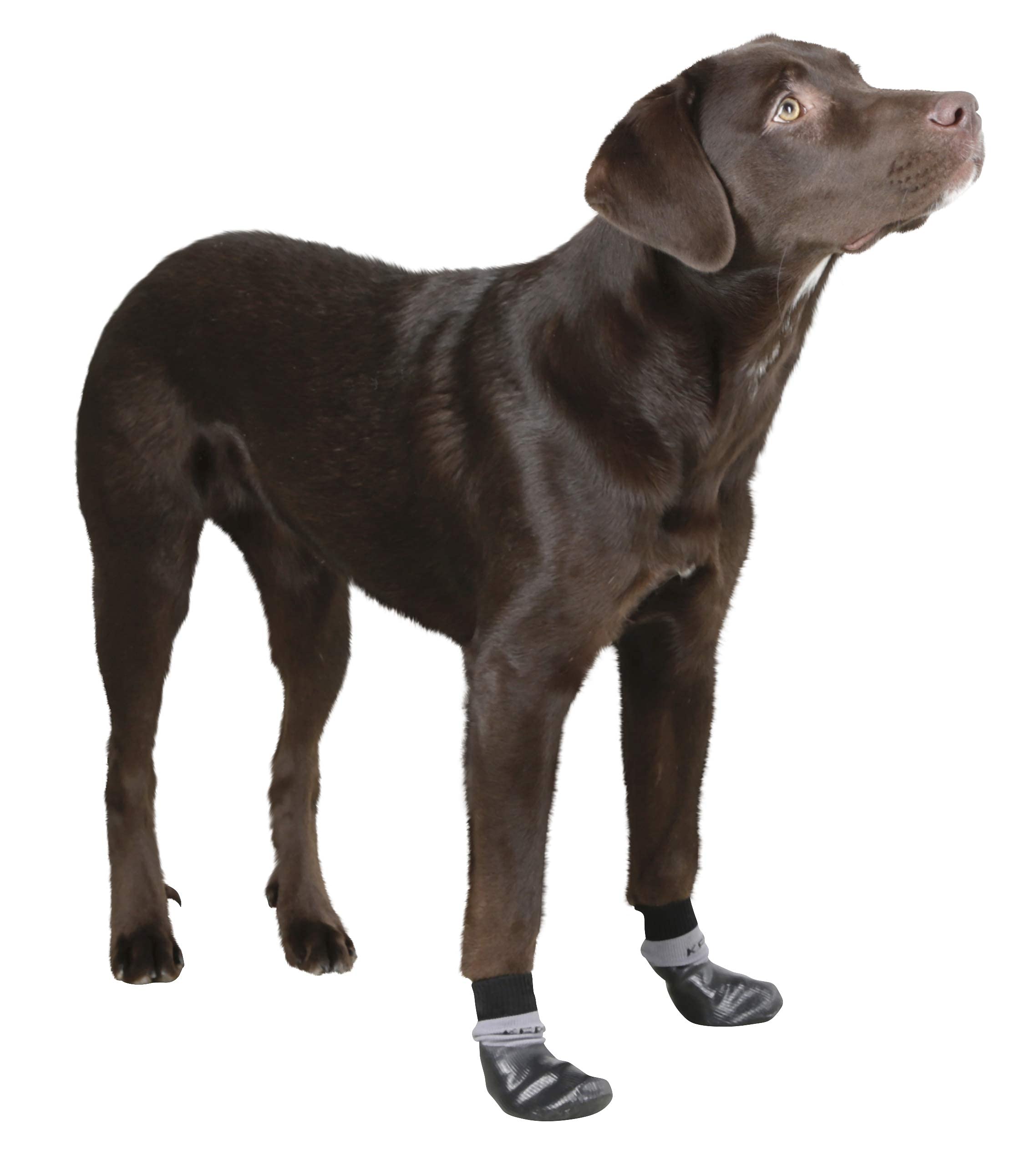 kerbl-pet-hundesocken-susi-mit-nitril-beschichtung-gr-e-m image 2