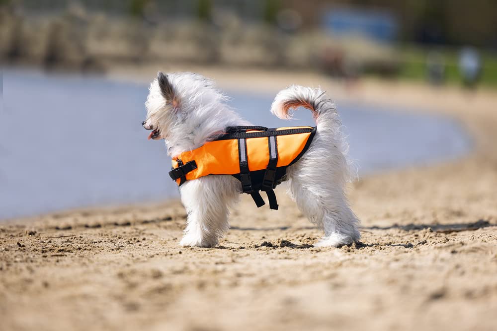 karlie-marinus-hunde-schwimmweste-s-orange image 3