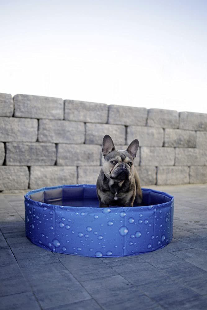 kerbl-pet-hundepool-bubble-blau-120-x-30-cm-kratzfestes-pvc image 5