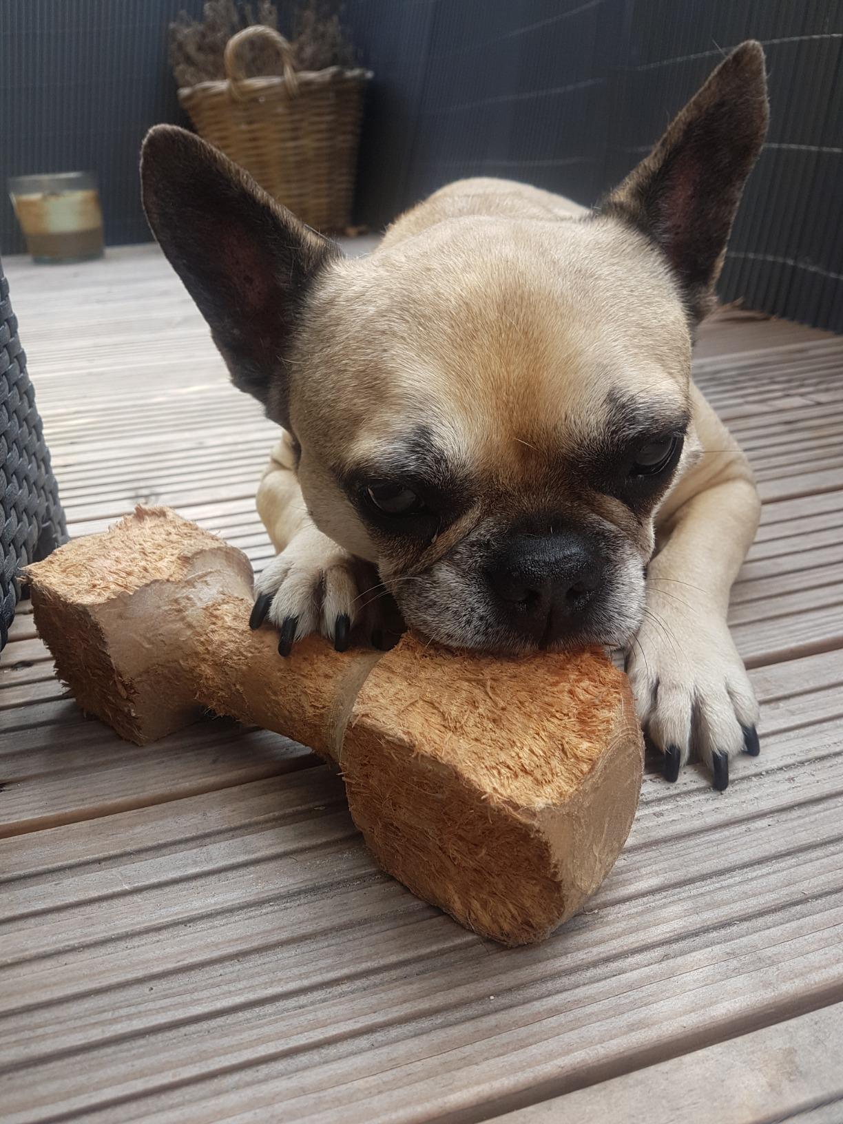 Robust und liebt es