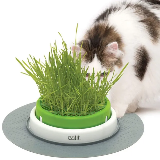catit-grass-planter-katzengras-topf-mit-abdeckgitter image 1