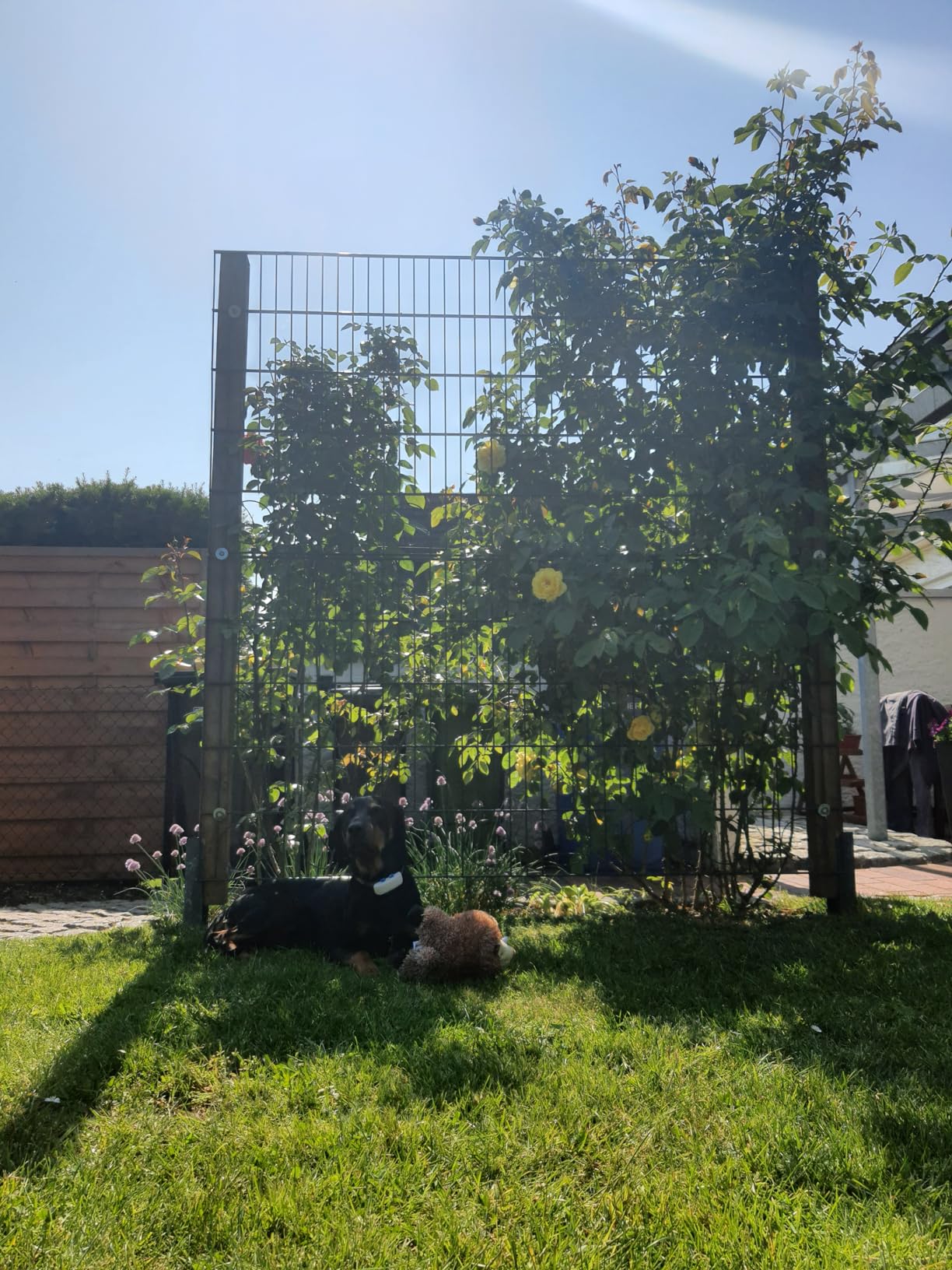 Schön weich