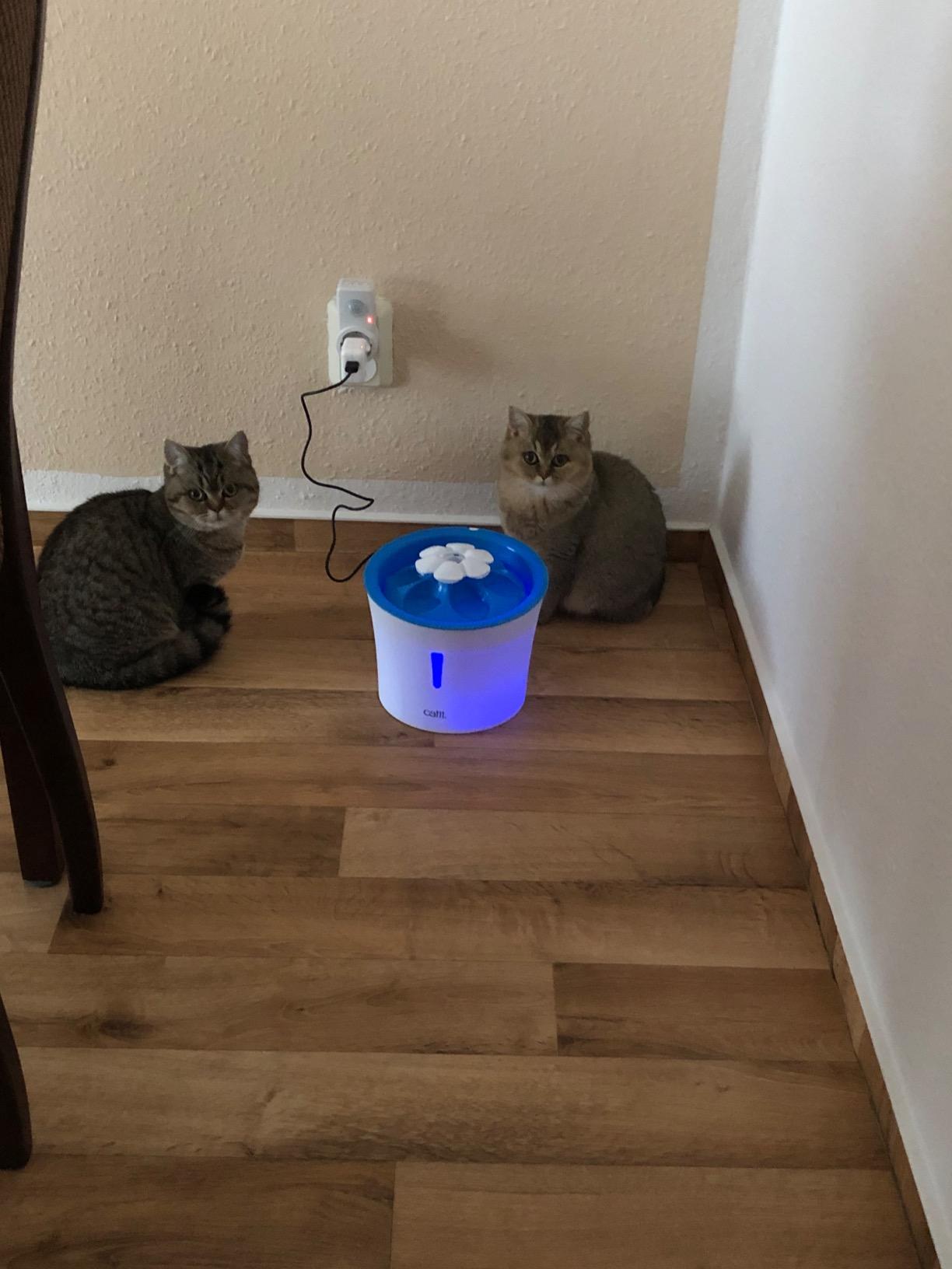 Leise und hübsch