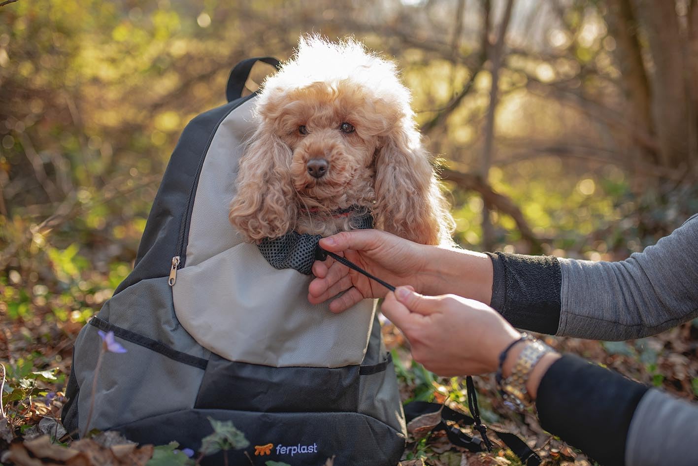 ferplast-kangoo-hunde-und-katzentragerrucksack-rosa-41-5-x-20-x-43-cm-bis-8-kg image 8