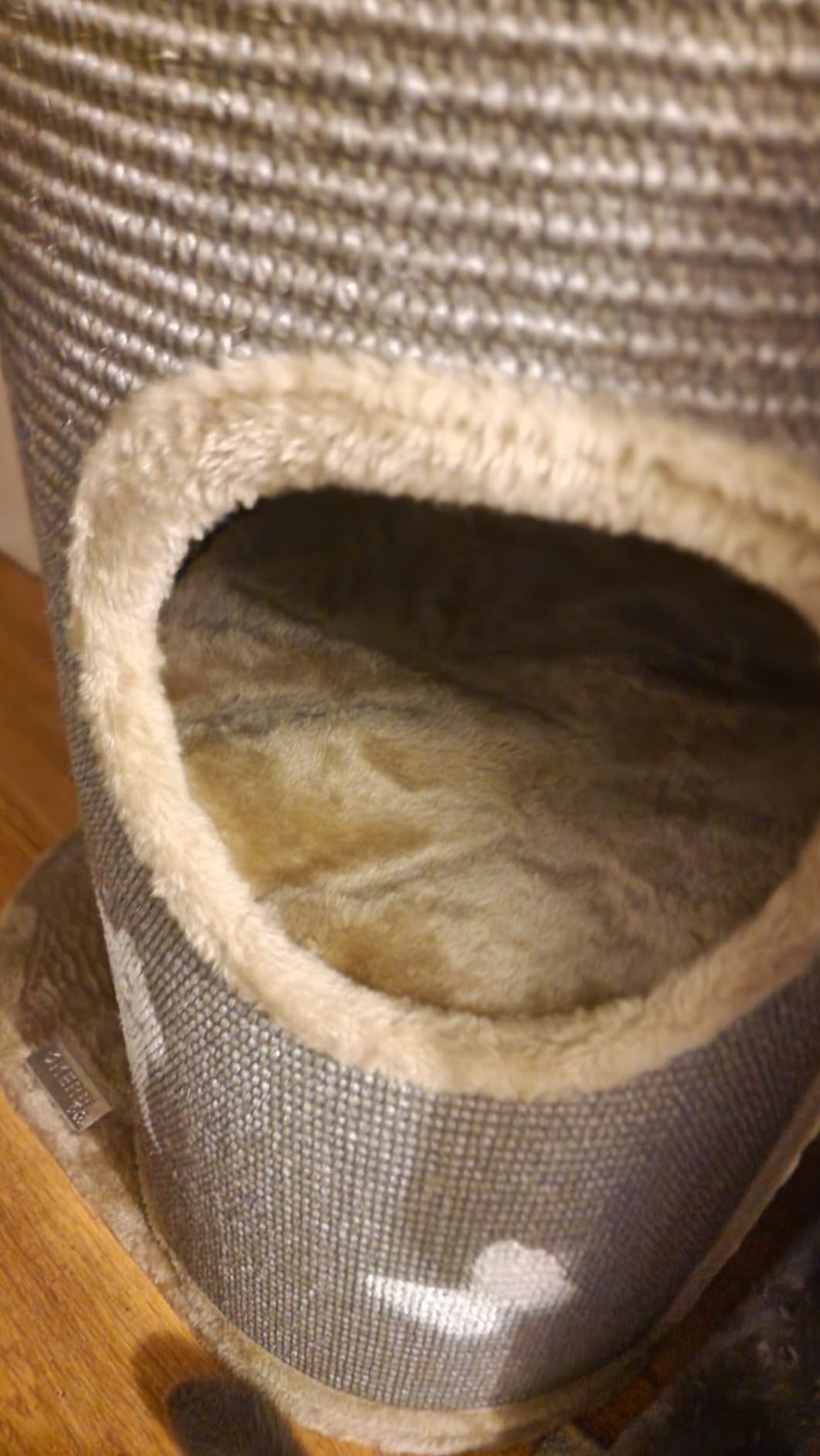 Beide Kater lieben ihn