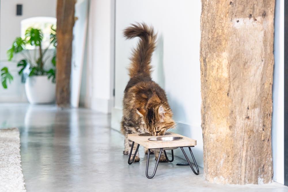 karlie-designed-by-lotte-linga-dinerset-katze-holz-metall-inkl-2-n-pfe image 7