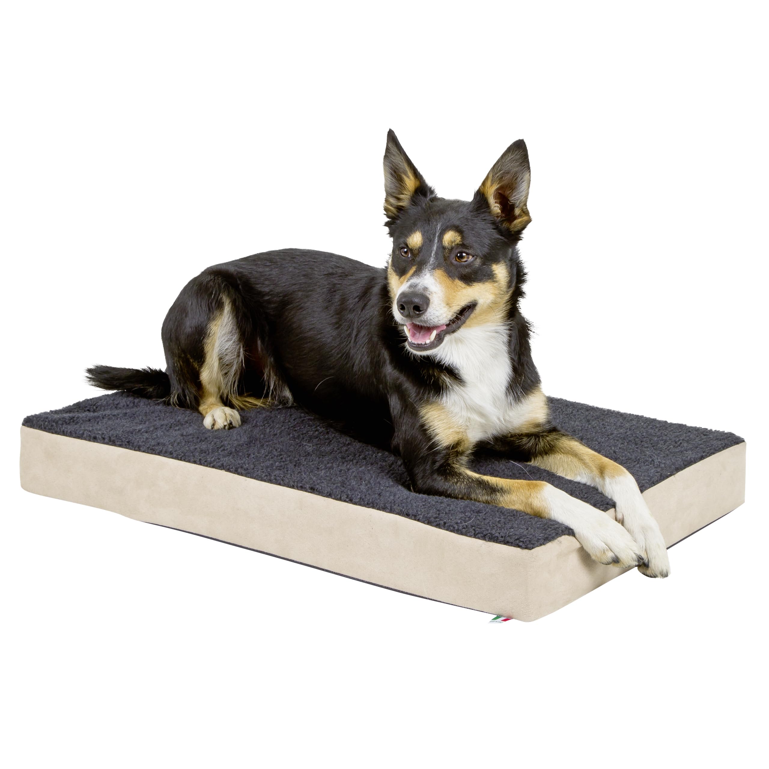 kerbl-pet-orthop-dische-memory-foam-hundematratze-80x50x8-cm-beige-anthrazit image 1