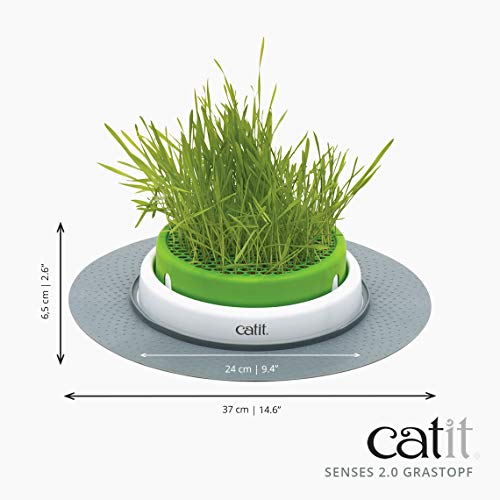 catit-grass-planter-katzengras-topf-mit-abdeckgitter image 4