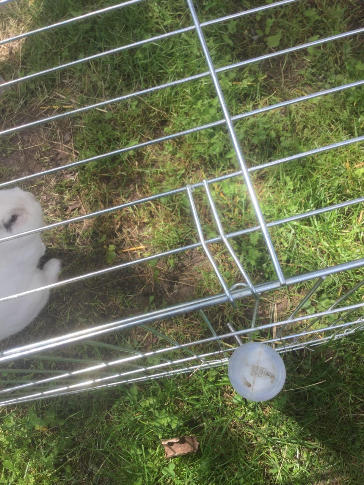 Viel Platz für unsere Kaninchen
