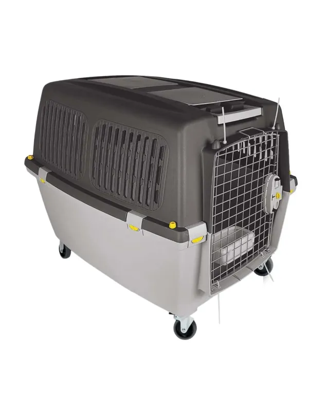 kerbl-transportbox-gulliver-4-iata-71-x-51-x-50-cm-mit-metallt-r-f-r-auto-und-fl image 1