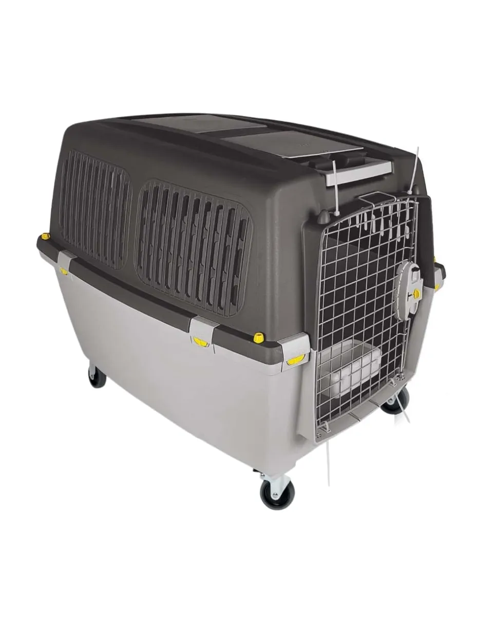 kerbl-transportbox-gulliver-4-iata-71-x-51-x-50-cm-mit-metallt-r-f-r-auto-und-fl image 1