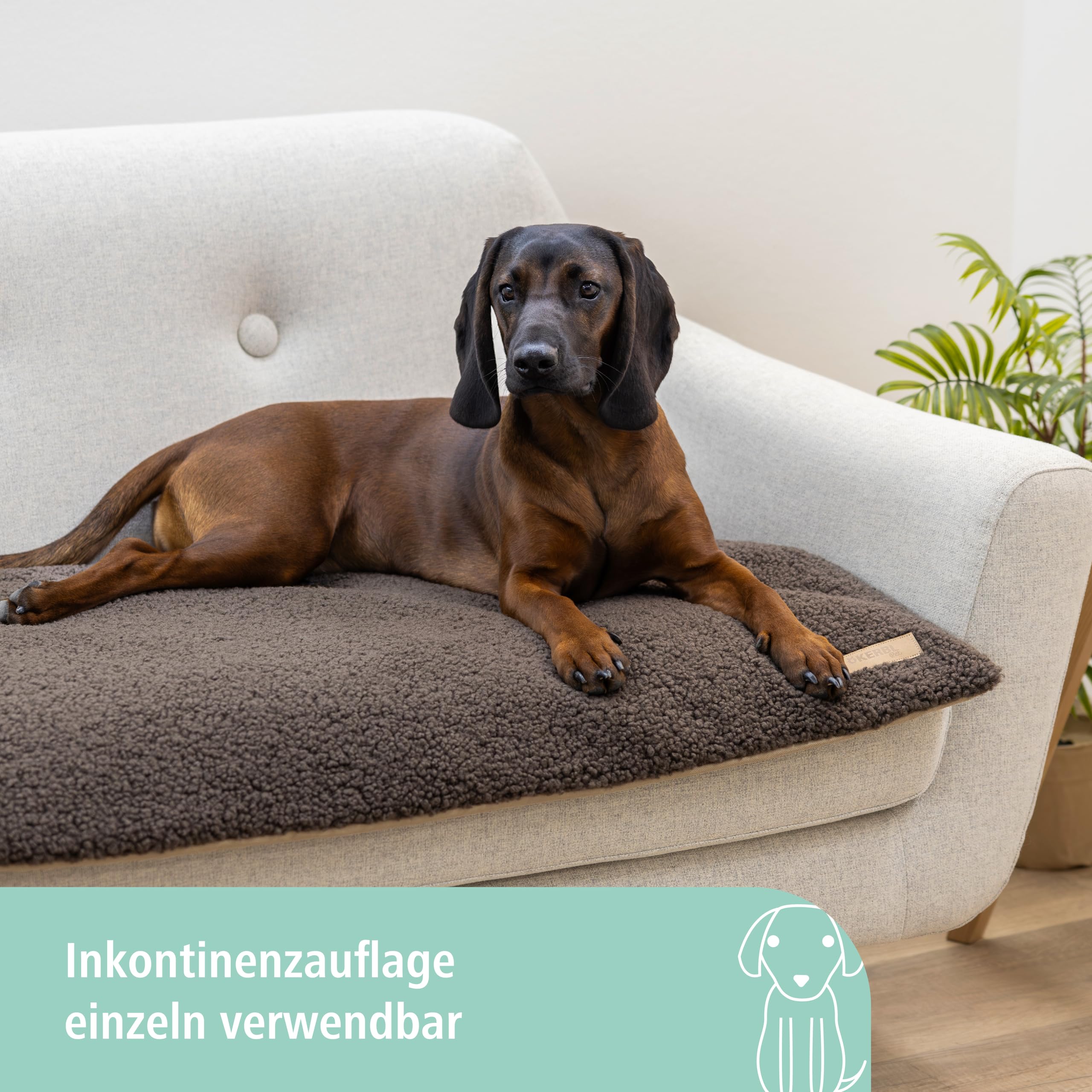 kerbl-pet-multifunktionsmatratze-120-x-72-x-7-cm-beige-braun-hundematratze-memor image 2
