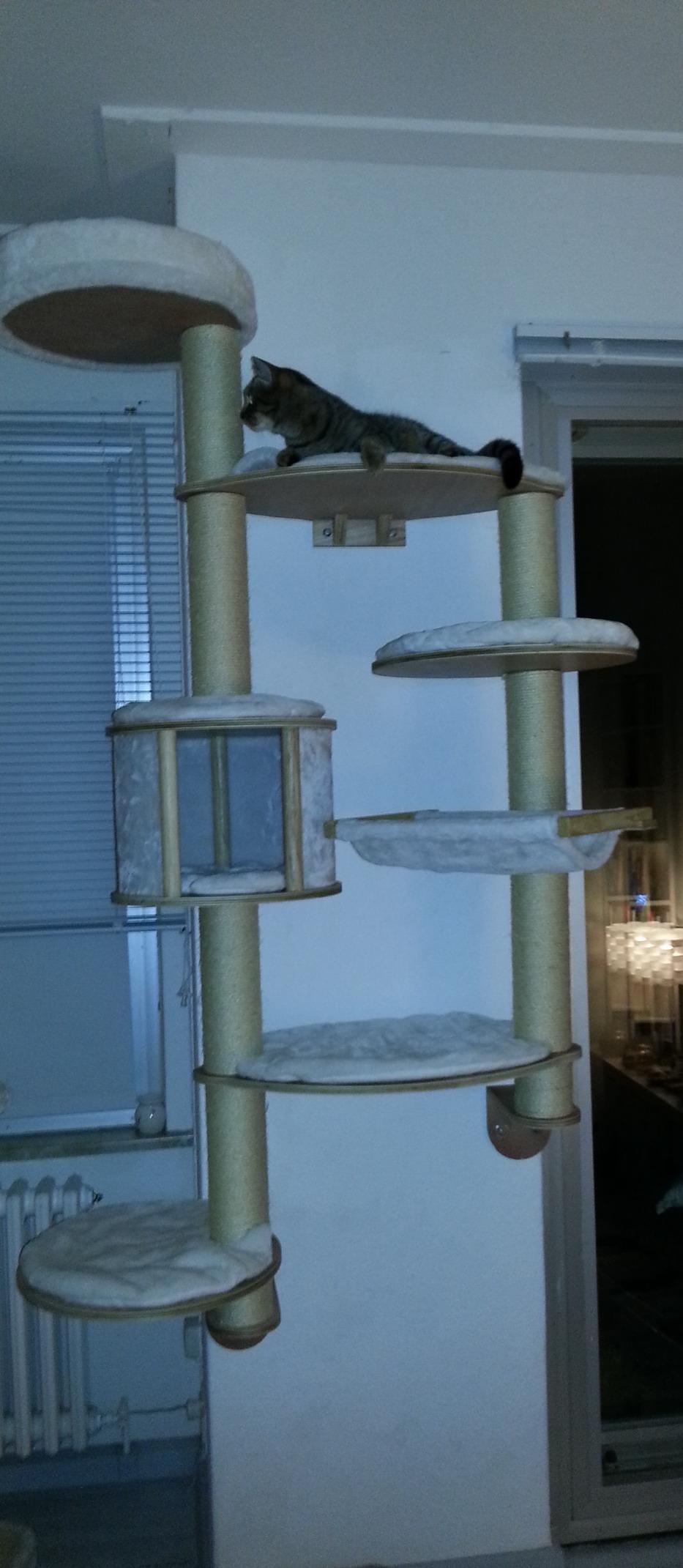 Schick und katzenfreundlich