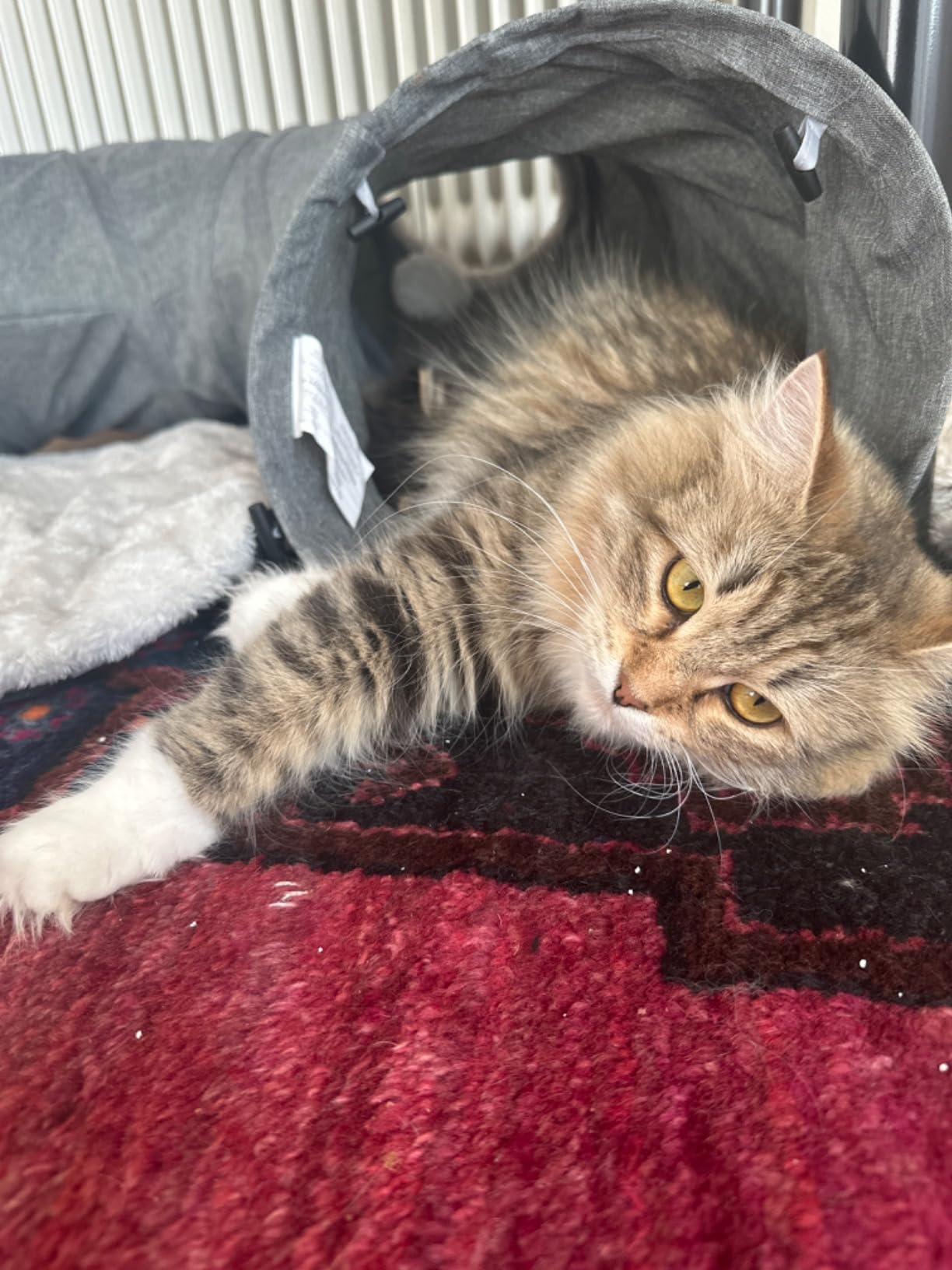 Mega robust trotz Toben