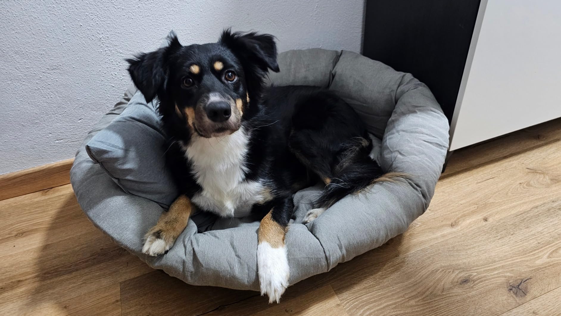 Gutes Preis-Leistungs-Bett