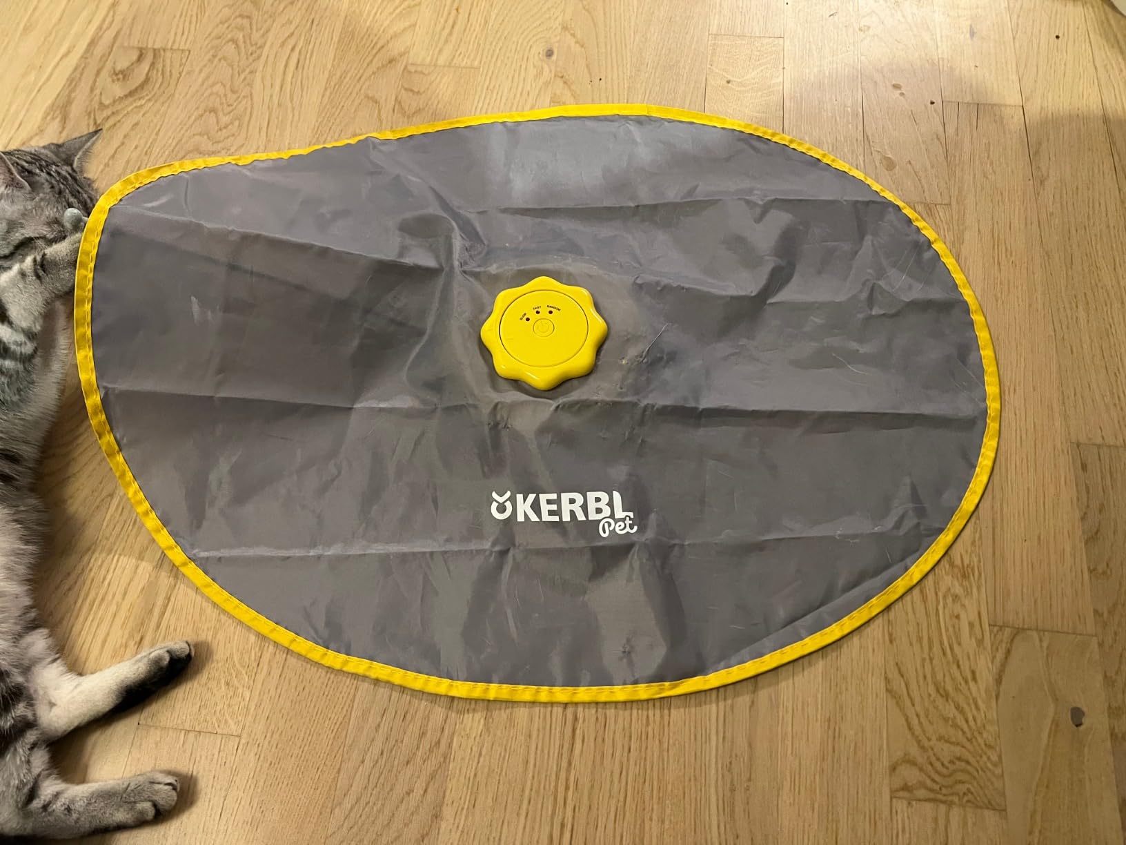 Endlich spielt Mimi wieder richtig
