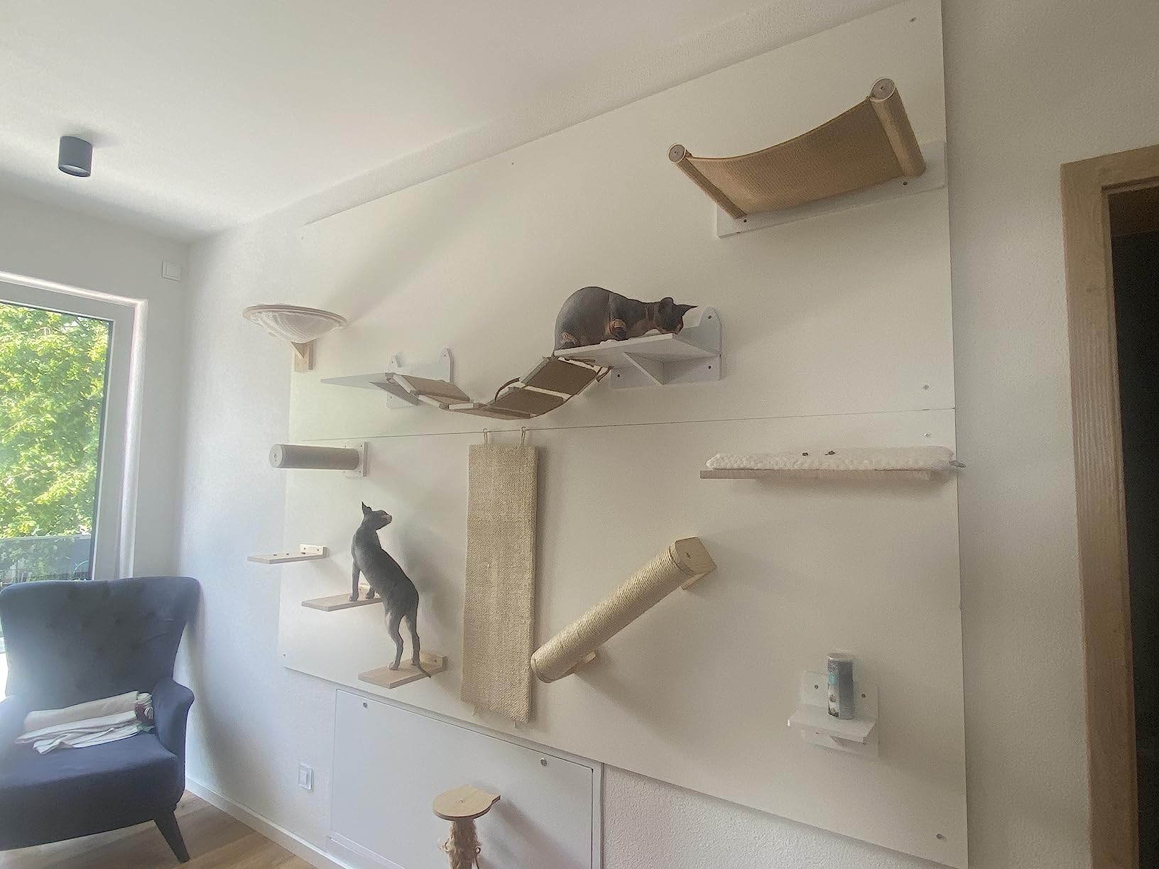 Nichts für schwere Katzen