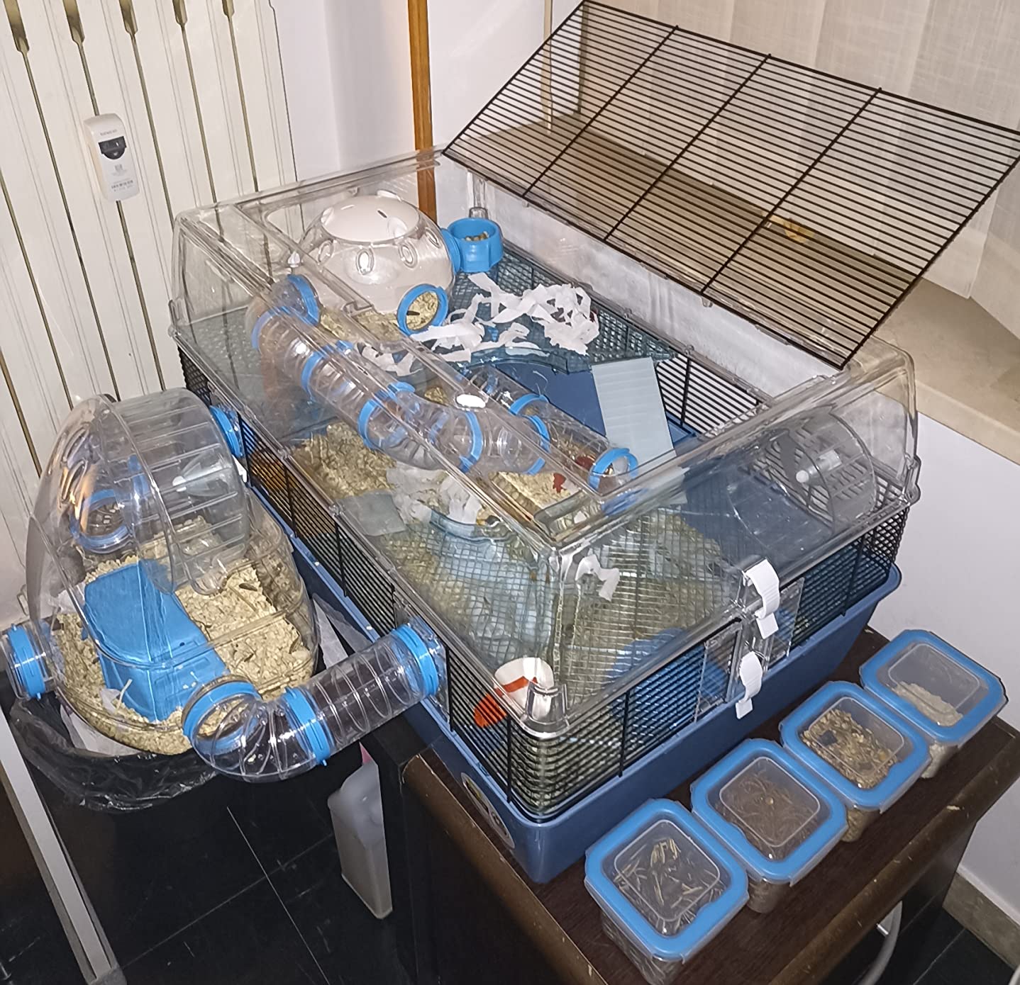 Paradies für unseren Goldhamster