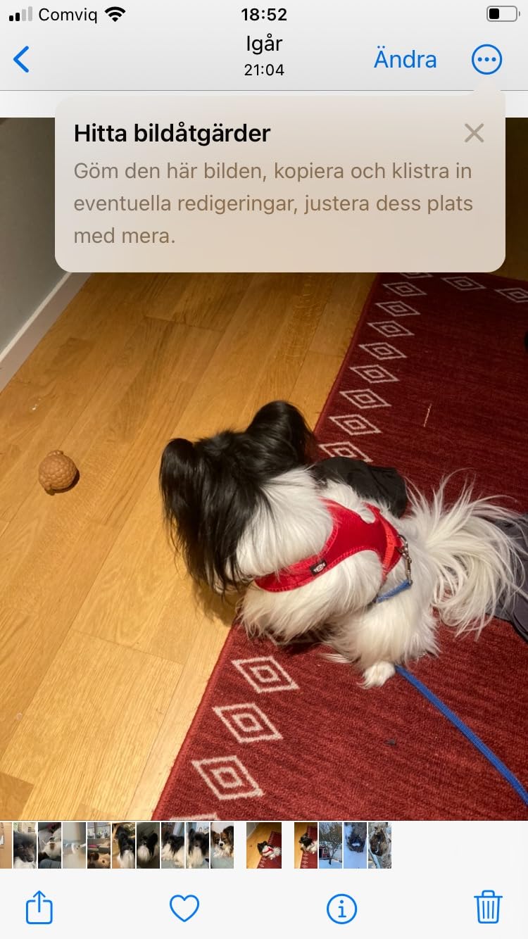 Endlich passt ein Geschirr
