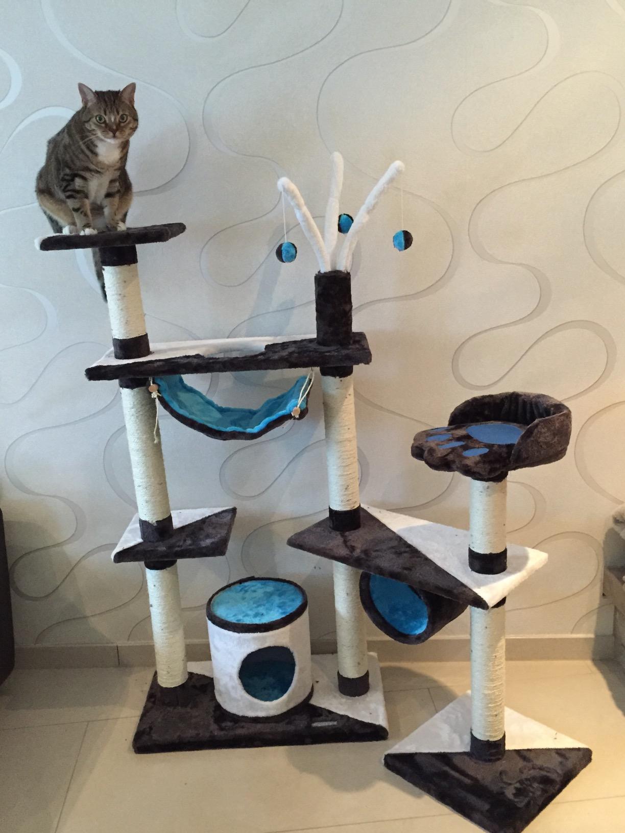Stabil, schön, katzenapproved