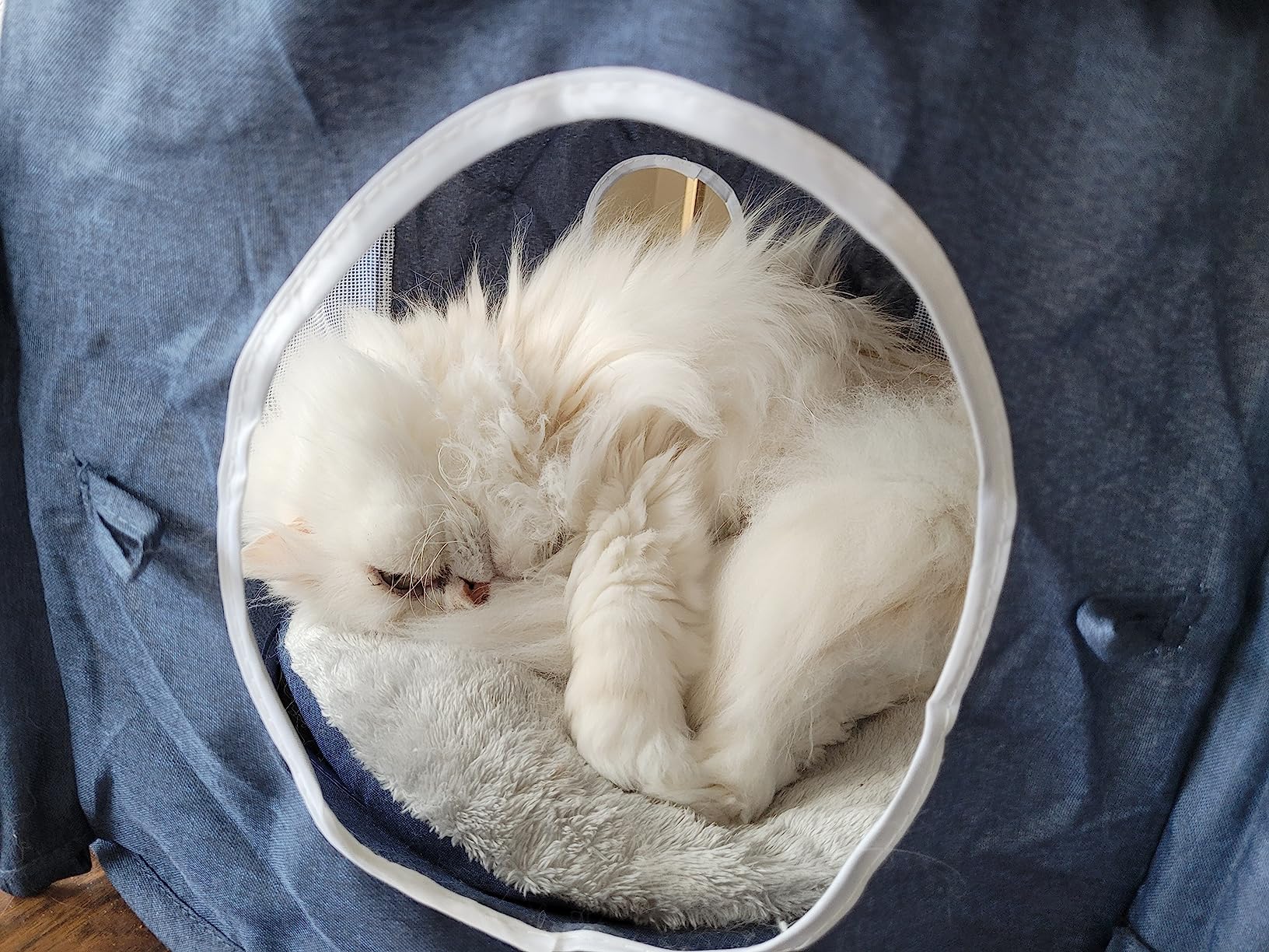 Absolute Kaufempfehlung!
