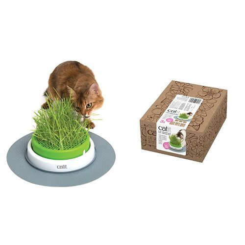 catit-grass-planter-katzengras-topf-mit-abdeckgitter image 5